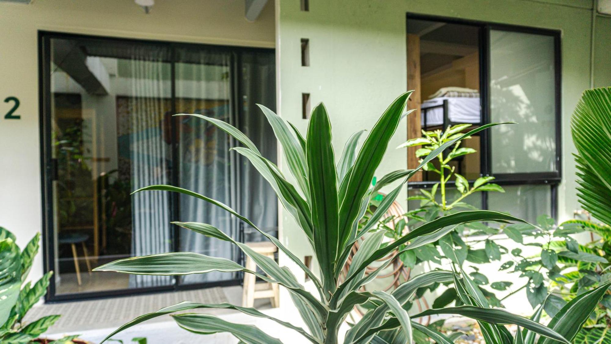 Bed and Breakfast Selva House Medellín Esterno foto
