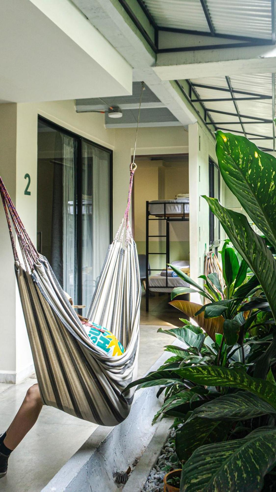 Bed and Breakfast Selva House Medellín Esterno foto